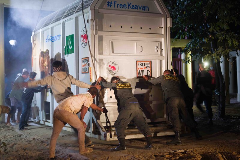Es ist schon dunkel, als Kaavan – noch immer in seiner Transportbox – endlich sein neues Zuhause in Kambodscha erreicht. – Bild: Mike Kemp