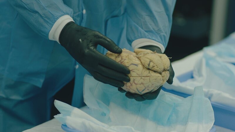 Bild: A&E Networks Lizenzbild frei