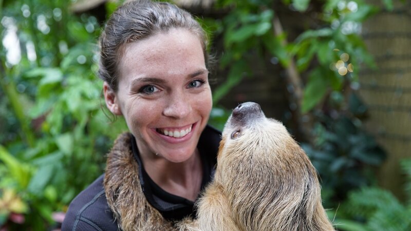 How do sloths live upside down? A toe-toed sloth from Cincinnati Zoo called Mo with zookeeper Maura Messerly – Bild: Discovery Communications, LLC