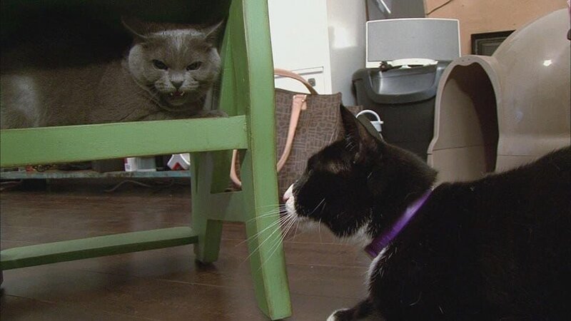 . – Bild: Warner Bros. Discovery