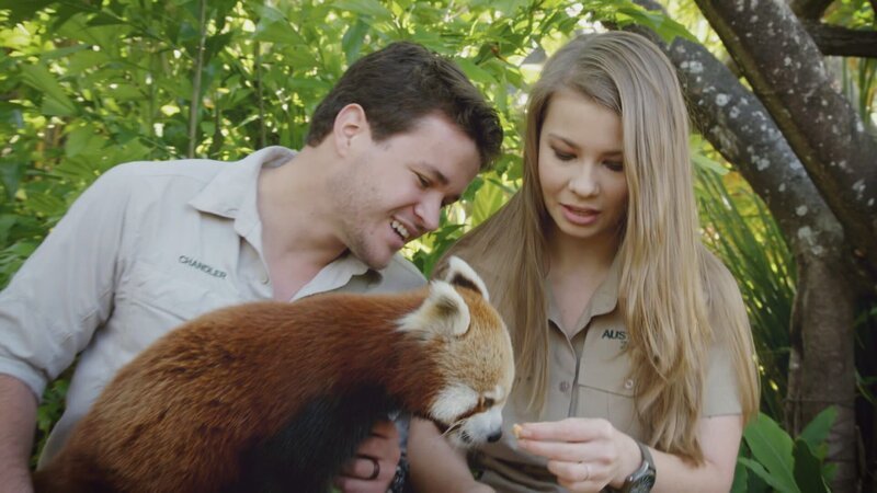 Bild: Animal Planet