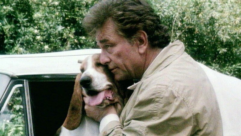 Lt. Columbo (Peter Falk) bittet seinen Hund, auf ihn zu warten, während er General Padget besucht. – Bild: SUPER RTL