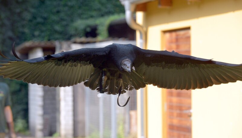 Bild: rbb/​Thomas Ernst