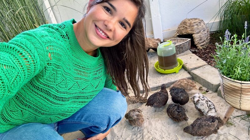 In ihrer großen Voliere haben die Wachteln viel Platz zum Picken, Scharren und Sandbaden. Weiteres Bildmaterial finden Sie unter www.br-foto.de. – Bild: BR/​Text und Bild Medienproduktion GmbH & Co. KG/​Katharina Brackmann