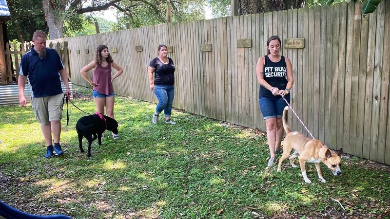 . – Bild: Warner Bros. Discovery