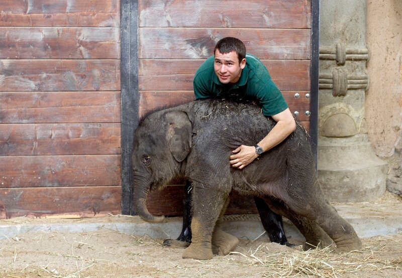Christian Wenzel mit Shila. – Bild: NDR/​Sandra Hoever