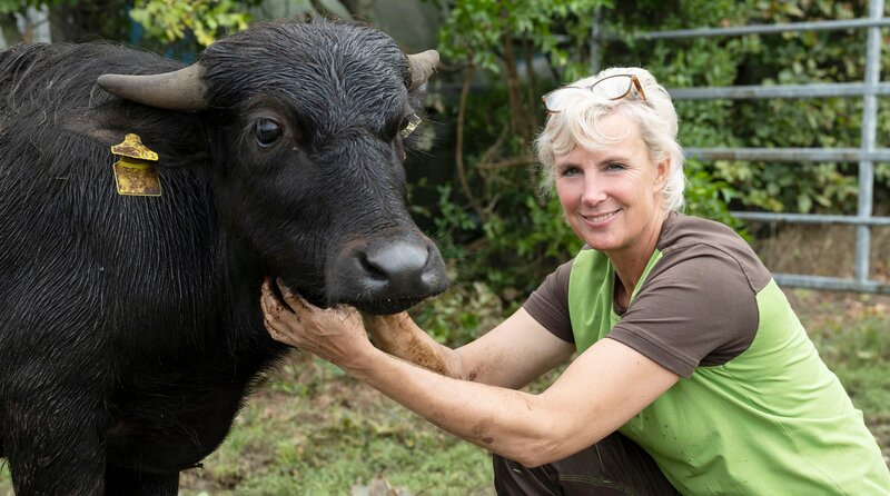 Die zweite Reise geht an den Niederrhein, in die Grenzregion zu den Niederlanden. Hier in Wegberg haben sich Domenica Müller (Foto) und ihre Familie den Traum vom eigenen Hof erfüllt. In einer „gläsernen“ Manufaktur stellen sie Nudeln aus verschiedensten Getreidesorten her. Alle Zutaten kommen vom eigenen Hof oder aus der Region. Ursprünglich aus purer Leidenschaft und ökologischer Überzeugung hält die Familie inzwischen mehr als hundert asiatische Wasserbüffel. – Bild: WDR/​Melanie Grande