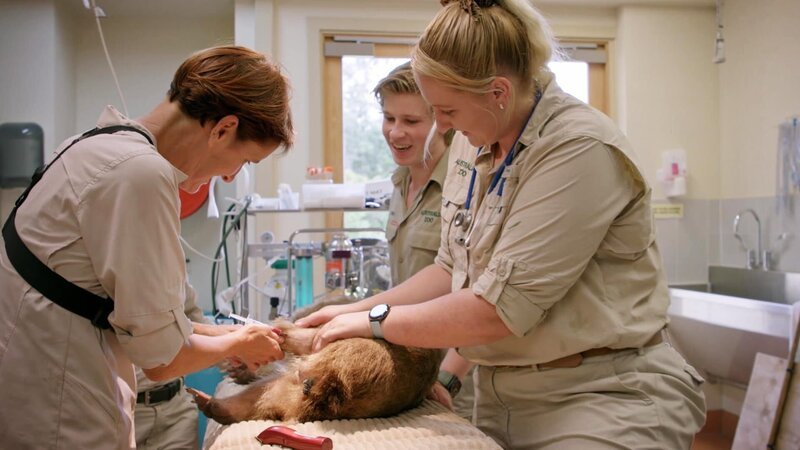 . – Bild: Warner Bros. Discovery