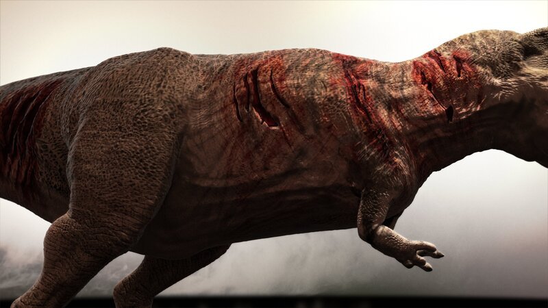 Einer der Gründe für den Erfolg der Dinosaurier die war ihre unglaubliche Zähigkeit: Fossilien belegen, dass offenbar auch schwerste Wunden und Knochenbrüche wieder verheilten und die Dinos noch Jahre gesund und munter weiterleben konnten – während vergleichbare Verletzungen bei einem Säugetier tödlich gewesen wären. Aber was ist das Geheimnis dieser enormen Regenerationsfähigkeit? Um diese Frage zu beantworten, untersucht Phil Manning u.a. das Skelett eines Gorgosaurus und das des größten jemals gefundenen Tyrannosaurus, vergleicht das Blut heute lebender Tierarten mit dem hypothetischen L … – Bild: National Geographic