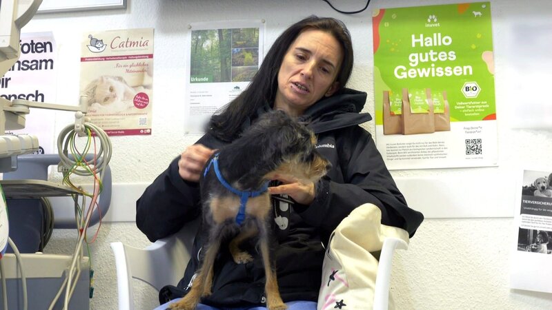 Ellas Hündin Angel muss zum Tierarzt. Eine „Generalüberholung“ der Zähne erfolgt unter Narkose und ohne Ellas Beisein; Ellas Hündin Angel muss zum Tierarzt. Eine „Generalüberholung“ der Zähne erfolgt unter Narkose und ohne Ellas Beisein – Bild: RTL Zwei