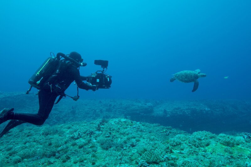 Bild: ORF/​BBC/​Mike Pitts