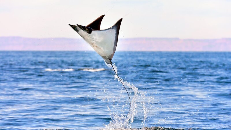 Bild: iStock /​ Blue Ant International Limited /​ Getty Images /​ WeltN24 GmbH /​ BILD GmbH