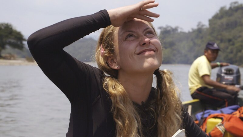 Bild: INSIGHT HD Bild: INSIGHT HD