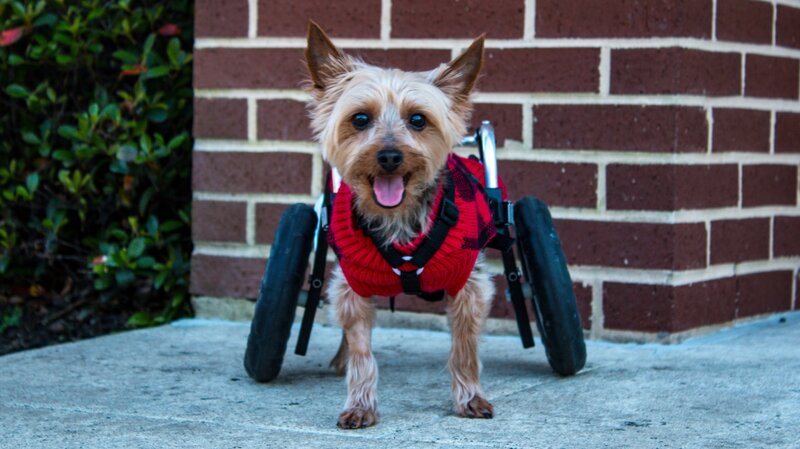 Bild: Discovery Communications