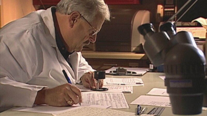 . – Bild: Foto: RTL