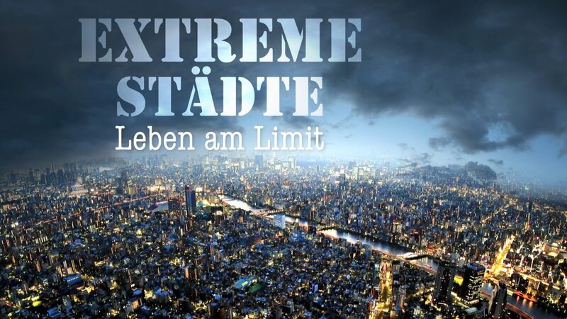 Bild: WELT