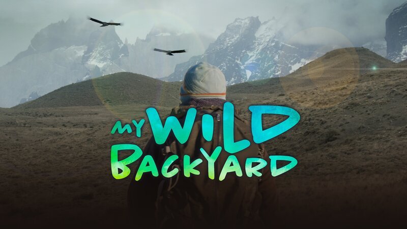 Bild: Curiosity Stream