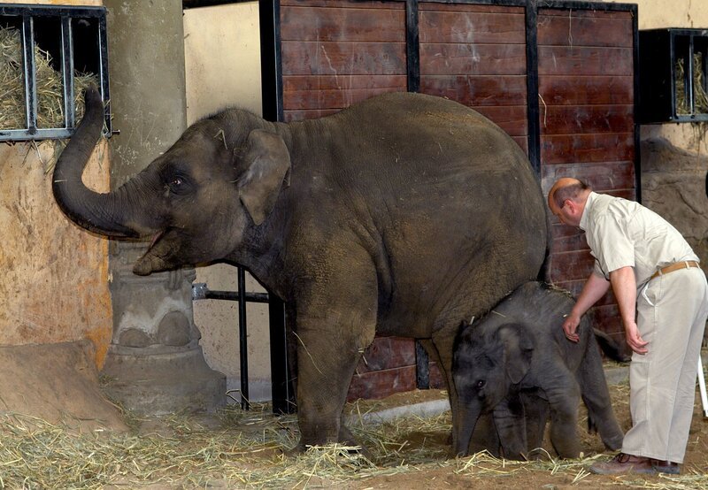 10 Uhr vom NDR im Ersten. Michael Schmidt mit Kandy und Shila. – Bild: NDR/​Sandra Hoever