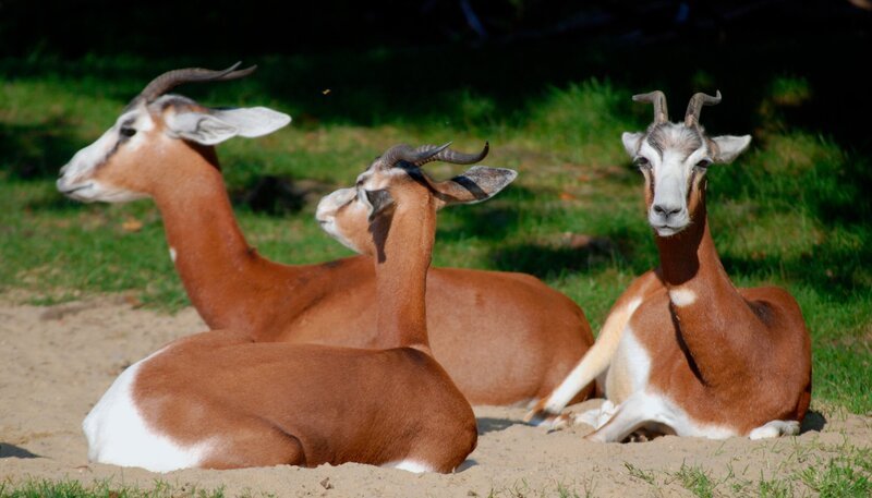 Bild: Felix Heidinger/​Jens-Uwe Heins