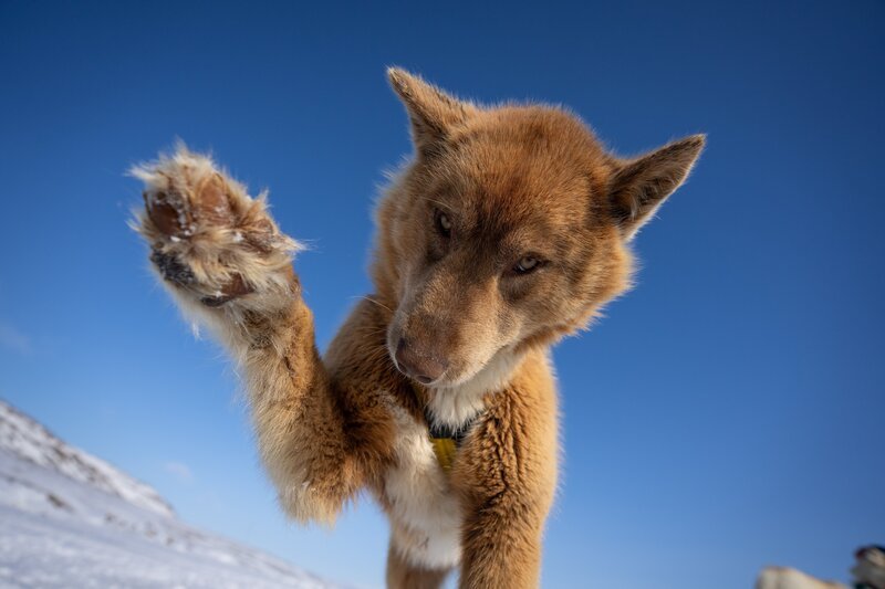 Josefin Kuschela – Bild: ZDF und Josefin Kuschela