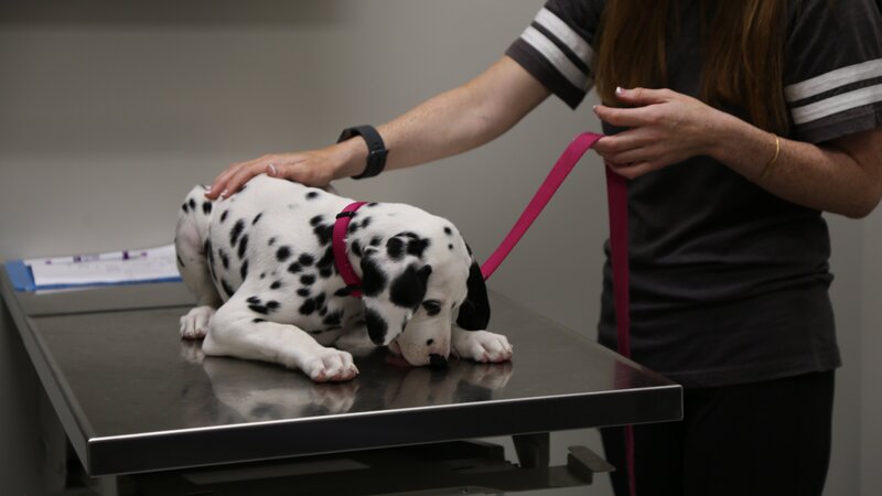 Bild: Discovery Communications, LLC