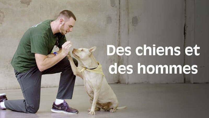  – Bild: Arte
