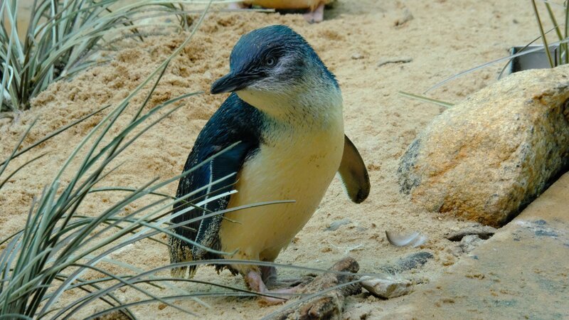 Bild: Left/​Right TV /​ Discovery Communications, LLC