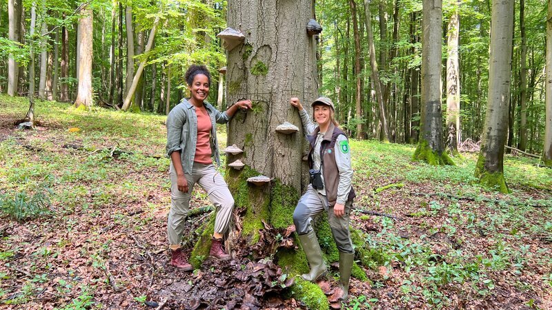 v.li.: Pia und Nationalpark-Rangerin Sandra (Sandra Wendt) vor einer alten Buche mit Zunderschwämmen. – Bild: KiKA /​ BR/​TEXT+BILD Medienproduktion GmbH & Co. KG/​Gerrit Mannes