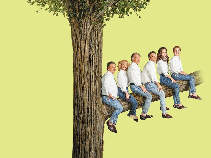 (2. Staffel) – Die Goldbergs – Artwork – Bild: 2014, 2015 Sony Pictures Television Inc. All Rights Reserved. Lizenzbild frei