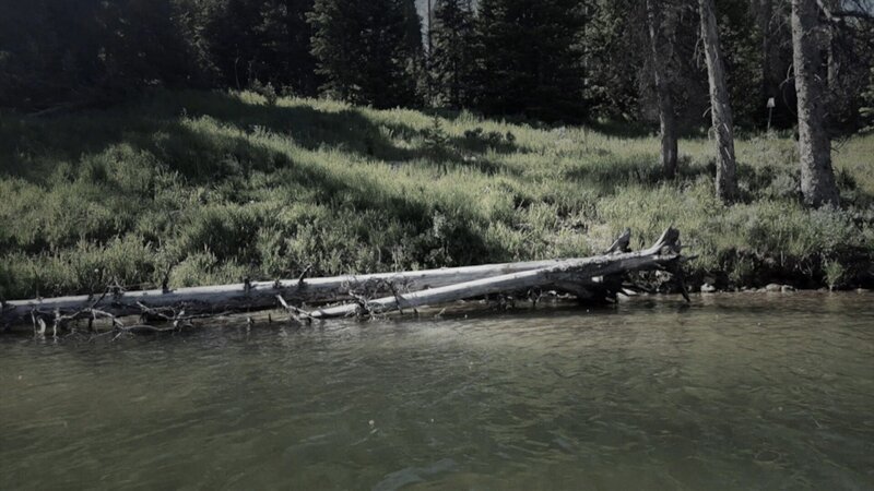 1934 werden am Ufer des Eriesee bei Cleveland Leichenteile gefunden. – Bild: RTL /​ ZDF /​ Edward Cotterill /​ Das Rätsel von Cleveland