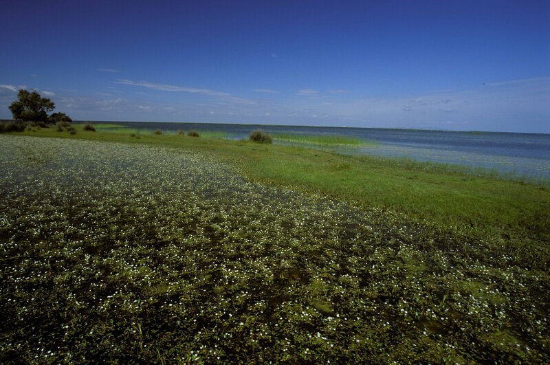 Der Guadalquivir ist mit 650 Kilometern der fünflängste Fluss Spaniens. In dieser Episode der erfolgreichen Dokumentationsreihe folgen wir dem Flusslauf gemeinsam mit einem Fuchs. – Bild: DF1