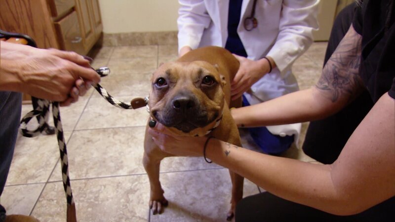 . – Bild: Warner Bros. Discovery