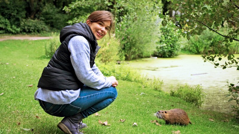 Mitten in Hamburg kommt Anna einem wilden Nutria ganz nah. Der Nager ist Menschen gewohnt, da er regelmäßig gefüttert wird. – Bild: BR/​TEXT+BILD Medienproduktion GmbH & Co. KG/​Christoph Schimmelpfennig