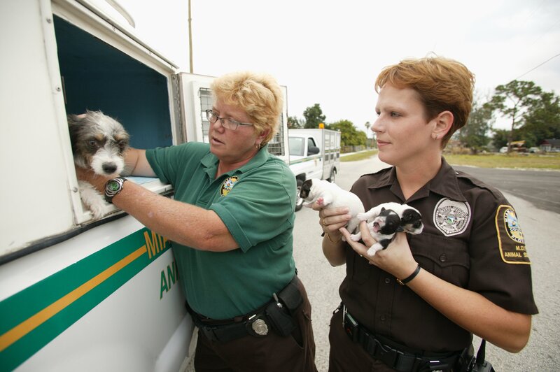 Bild: TLC/​Discovery Channel