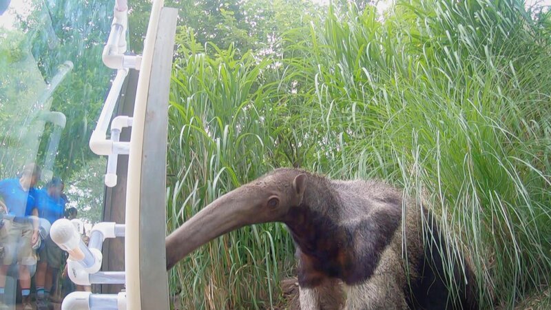 . – Bild: Warner Bros. Discovery