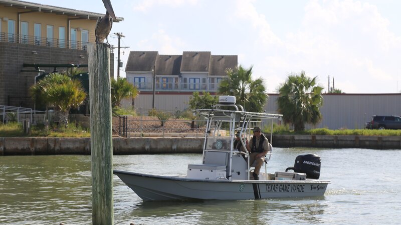 Bild: Benjamin Rehm /​ Animal Planet /​ Discovery Communications, LLC