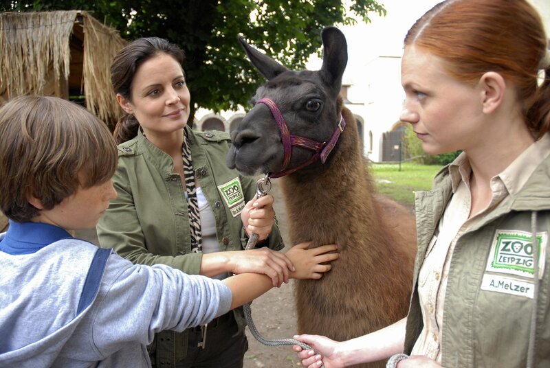 Lama Horst als Therapeut. Dr. Susanne Mertens (Elisabeth Lanz, Mitte) und ihre Assistentin Anett (Anna Bertheau) hoffen, dass die Begegnung mit dem Tier dem traumatisierten David (Max Schmuckert) helfen wird. – Bild: BR/​ARD/​Christa Köfer