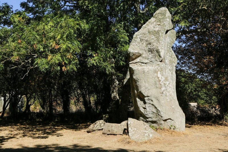 Gestein    +++ – Bild: RTL /​ WAGTV /​ Folge 19