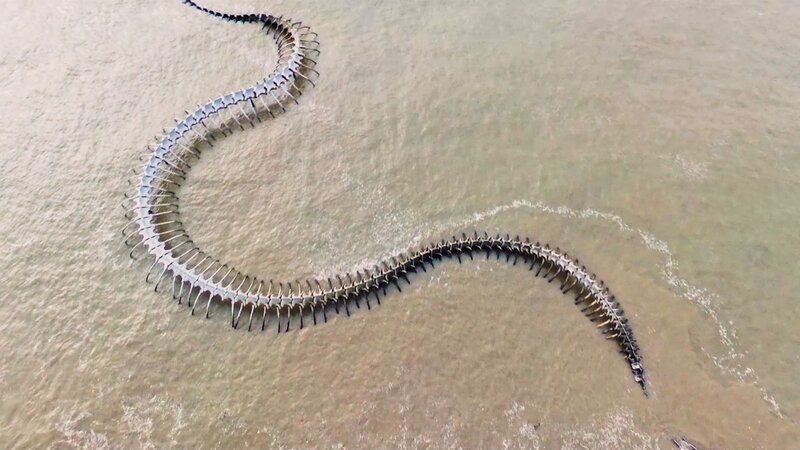 Der Blick von oben offenbart die Skelettreste eines riesigen antiken Reptils.  +++ – Bild: RTL /​ BlackBoxGuild /​ Pond5 /​ Folge 206