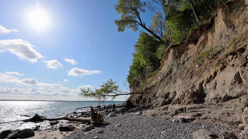 Ständig in Bewegung: Bis zu einem Meter trägt die Ostsee die Brodtener Steilküste pro Jahr ab. – Bild: NDR/​NDR Naturfilm/​Doclights GmbH