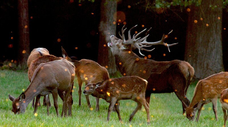 – Bild: WDR/Marco Polo Film/Steffen Sailer  – Bild: WDR/Marco Polo Film/Steffen Sailer