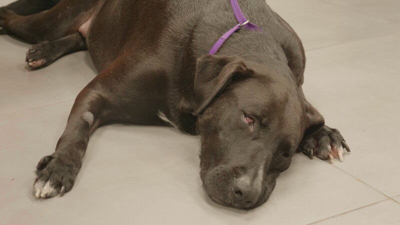 Bild: Discovery Communications, LLC