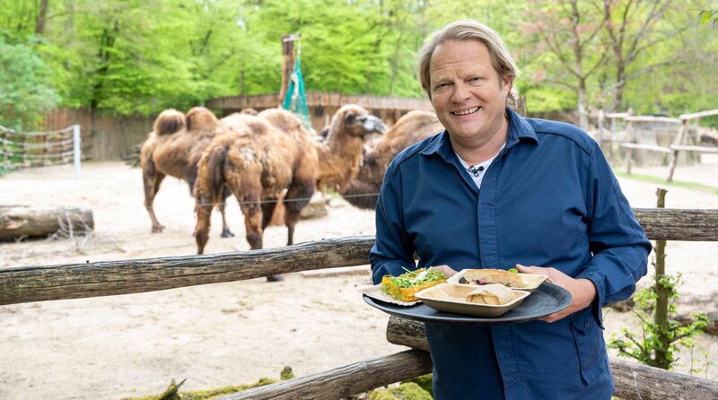 Björn Freitag sorgt im Allwetterzoo Münster für frischen Wind im Bistro – mit kreativen, vegetarischen Tagesgerichten für hungrige Zoobesucher. – Bild: WDR/​solis TV/​Melanie Grande