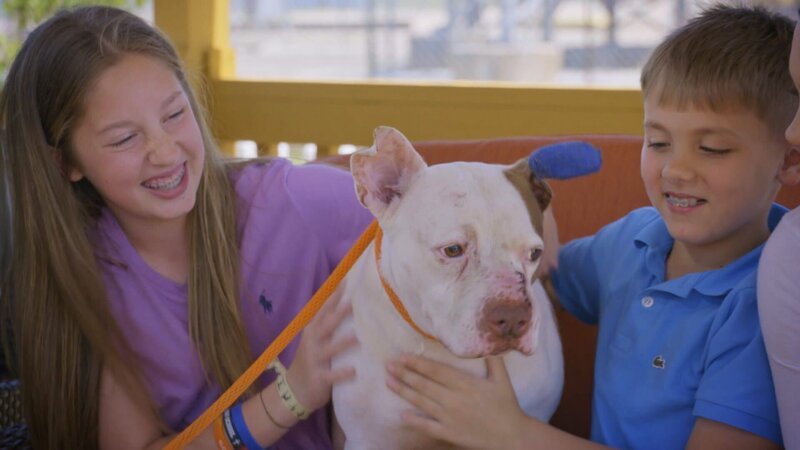 Kinder mit einem Hund. – Bild: Warner Bros. Discovery