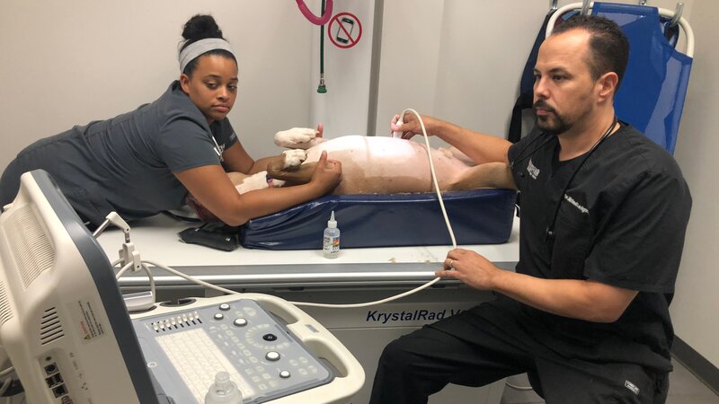 Bild: Discovery Communications, LLC