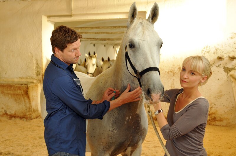 Thomas Unger (Dr. Michael Haas), Eva Herzig (Katharina Lenz). – Bild: ORF III