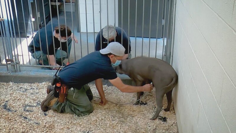 . – Bild: Warner Bros. Discovery