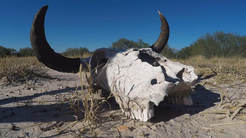 . – Bild: Warner Bros. Discovery