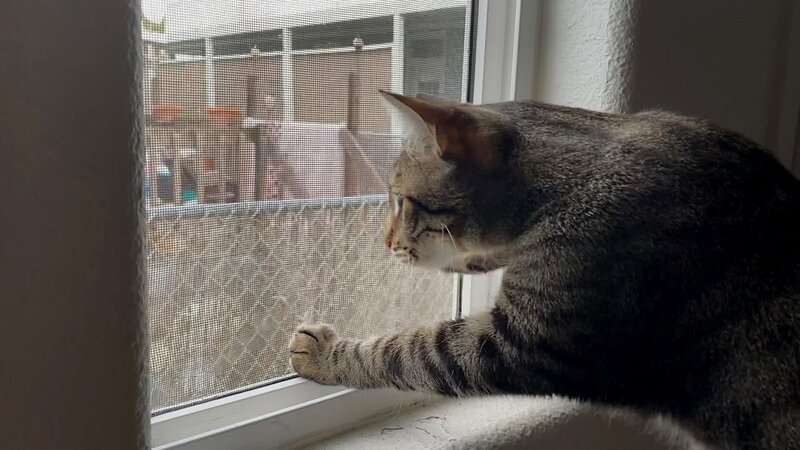 Bild: Animal Planet /​ Photobank 37196_017 /​ Discovery Communications, LLC