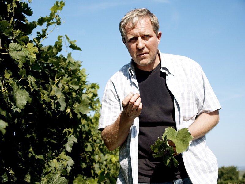 Thomas Stickler (Harald Krassnitzer) prüft die Reben in seinem Weingarten. Weiteres Bildmaterial finden Sie unter www.br-foto.de. – Bild: BR